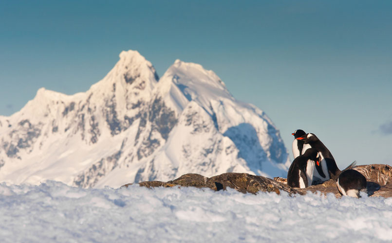 Legendarische reis naar Antartica