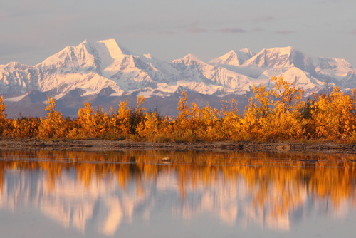 Denali National Park in Alaska bij zonsondergang