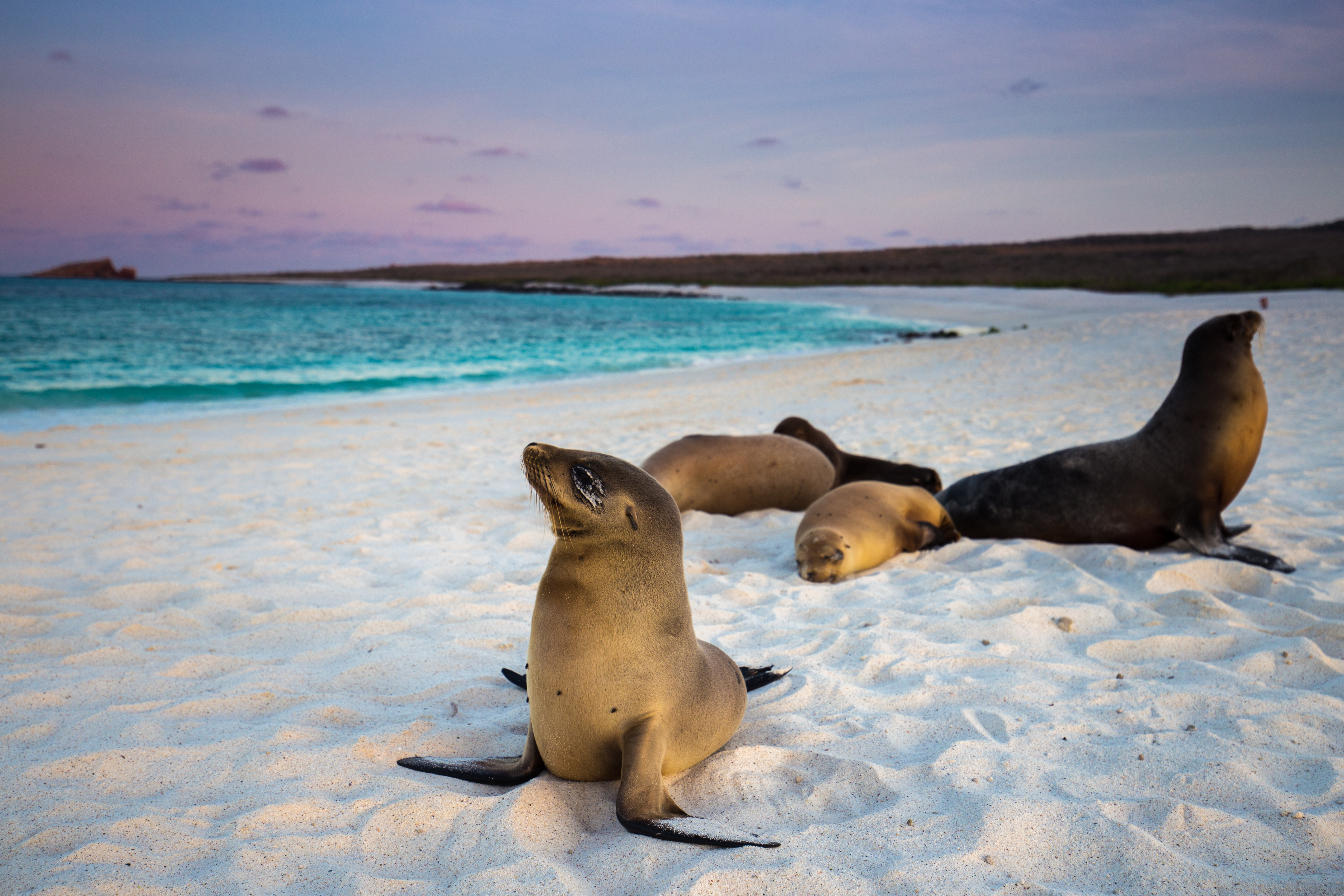 Galápagos Eilanden