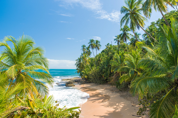 Manzanillo beach, Costa Rica. Midden-Amerika