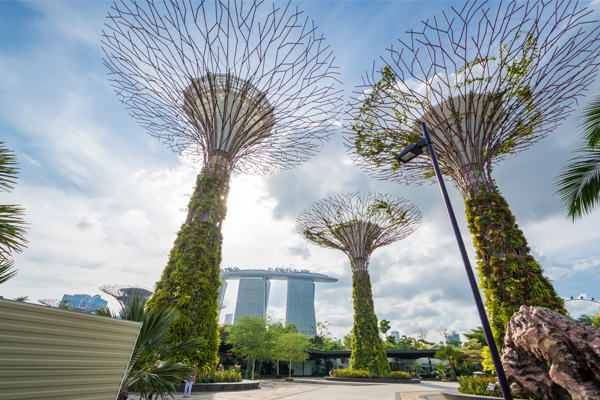 Supertree Grove Singapore