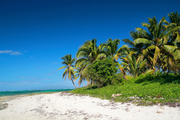 Eiland in Indonesië