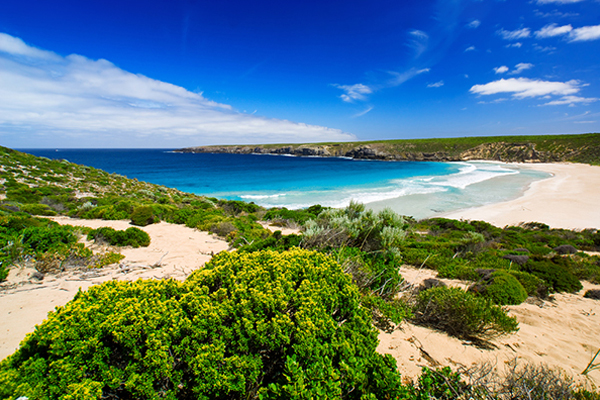 Strand in Australië